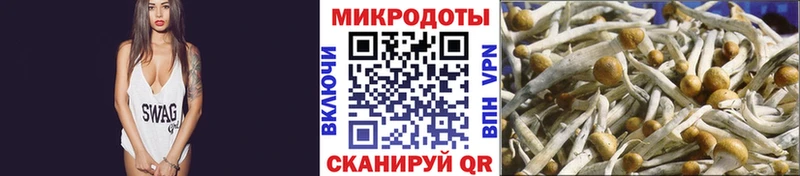 kraken рабочий сайт Иноземцево Галлюциногенные грибы ЛСД